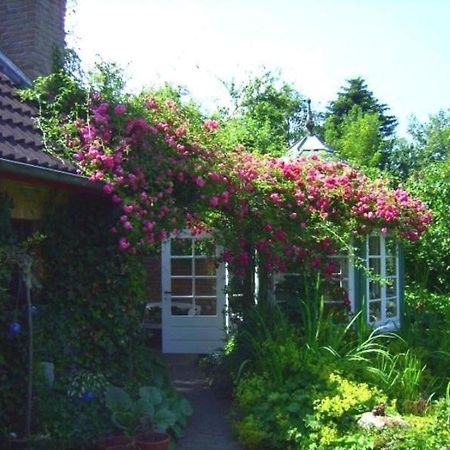 Ferienwohnung Diena - Unterkunft Mit Toller Ausstattung Und Zwei Terrassen 塔普 外观 照片