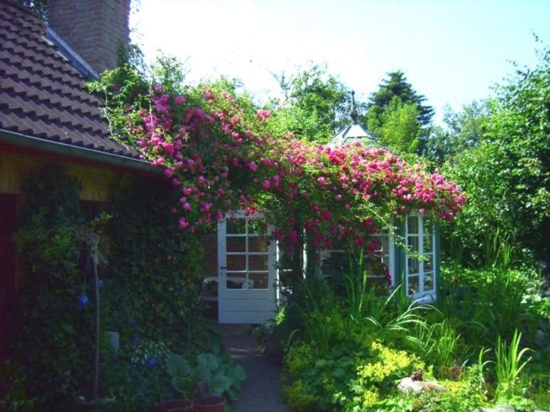 Ferienwohnung Diena - Unterkunft Mit Toller Ausstattung Und Zwei Terrassen 塔普 外观 照片